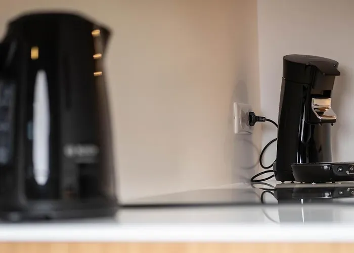 Cosy Hyper Centre Straatsburg