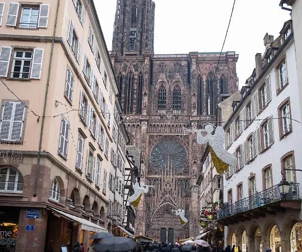 Cosy Hyper Centre Strasbourg