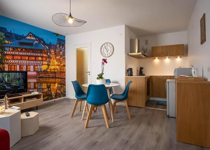 Cosy Hyper Centre Straatsburg